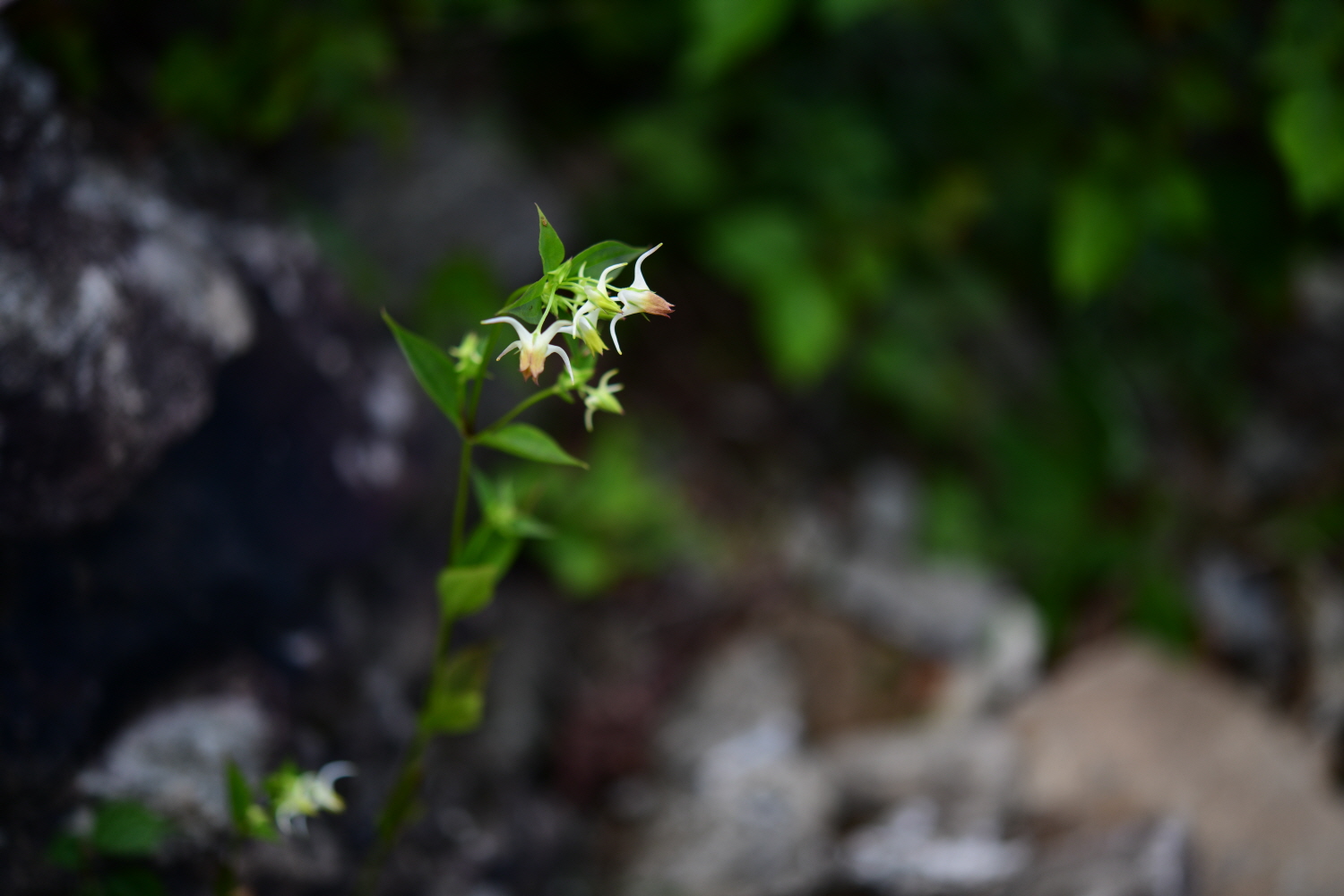 크기변환_DSC_2229.JPG