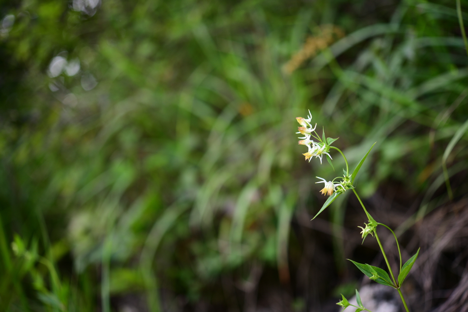 크기변환_DSC_2024.JPG