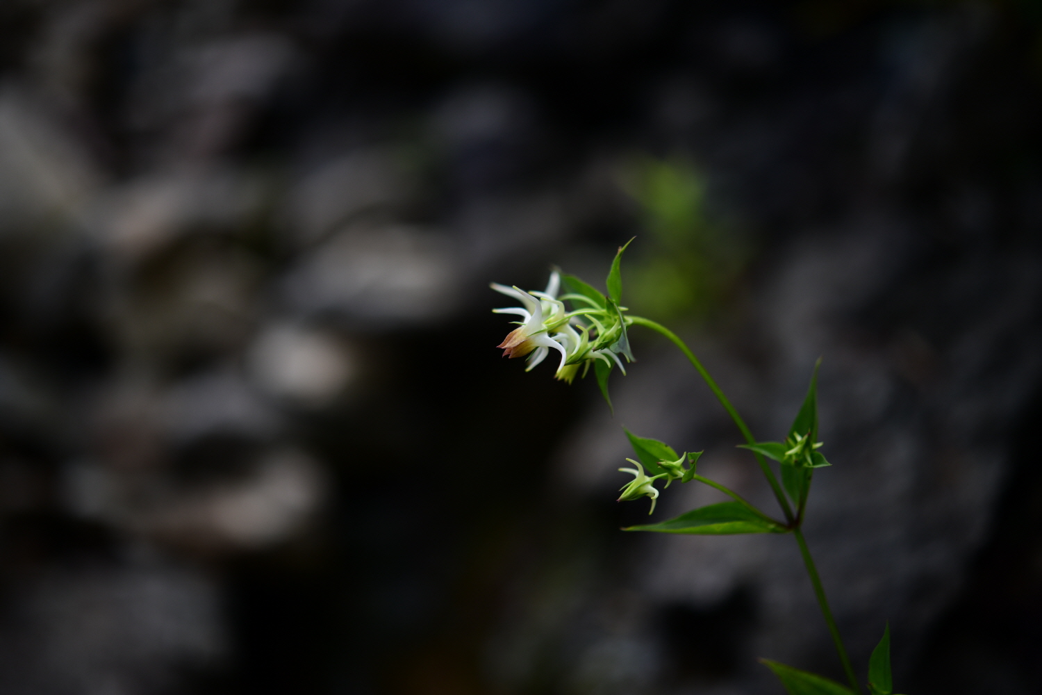 크기변환_DSC_2198.JPG