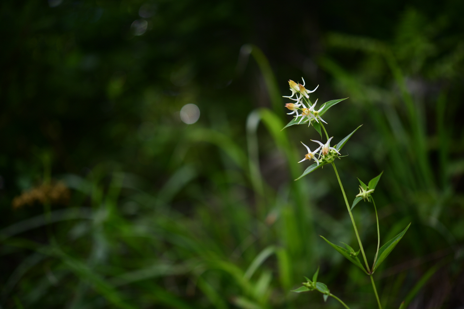 크기변환_DSC_2049.JPG