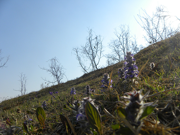 DSCN1257.jpg