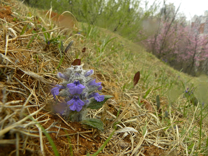 DSCN1424.jpg