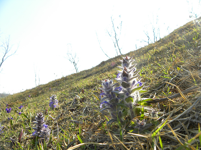 DSCN1258.jpg