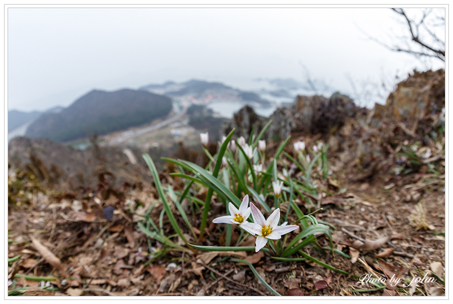 산자고5.jpg