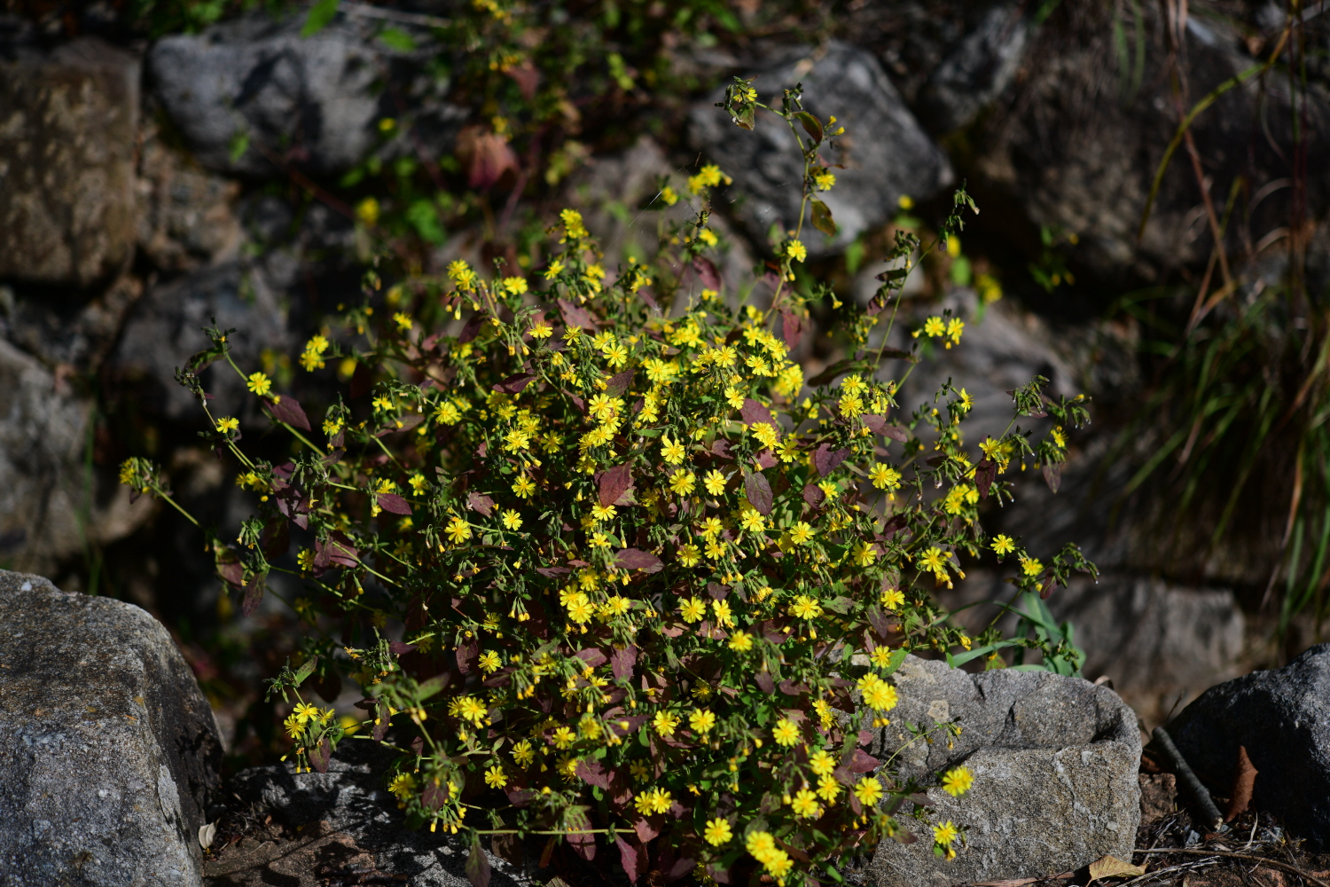크기변환_DSC_7097.JPG