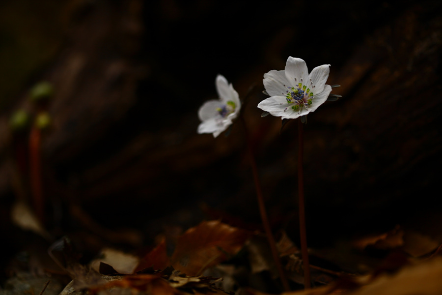 20100227울산 058.jpg