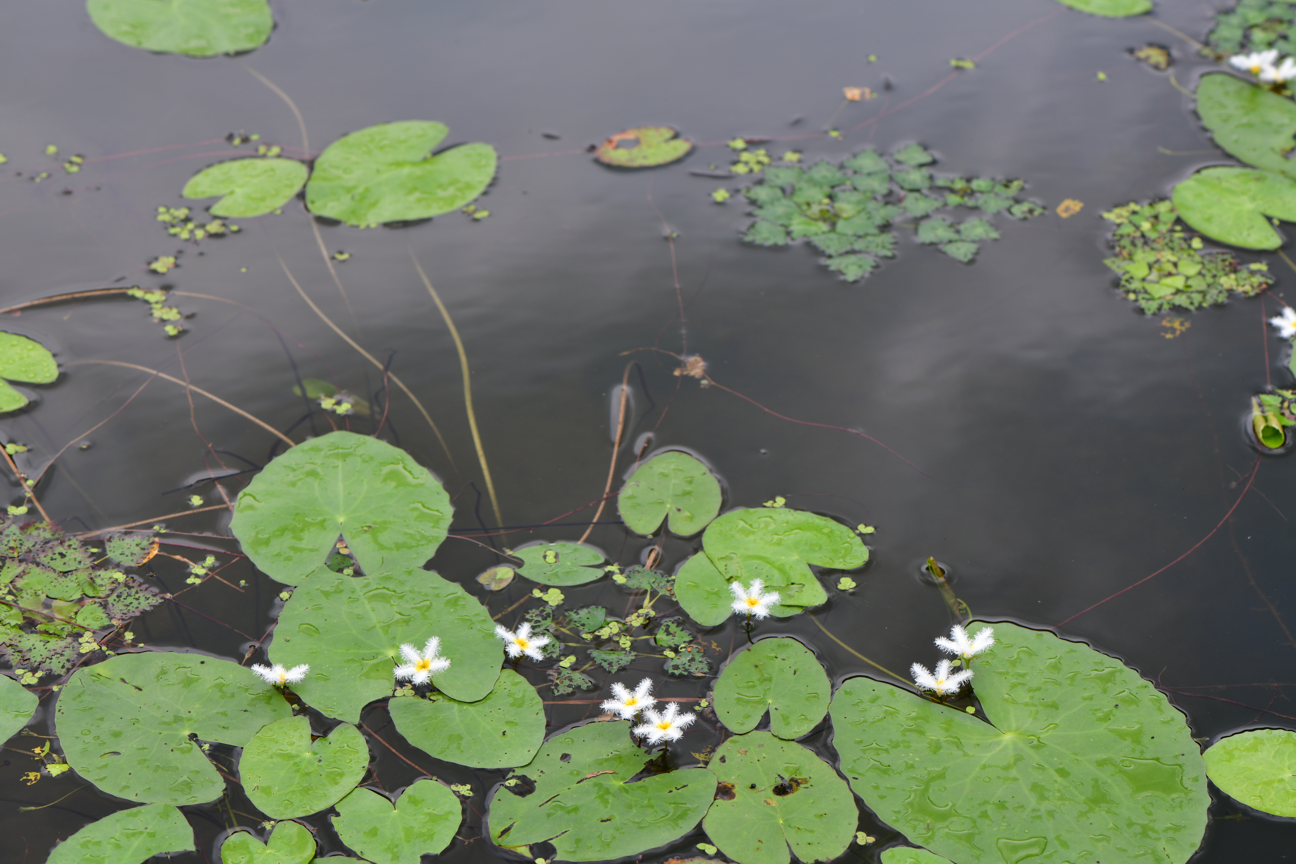 DSC_0349.JPG
