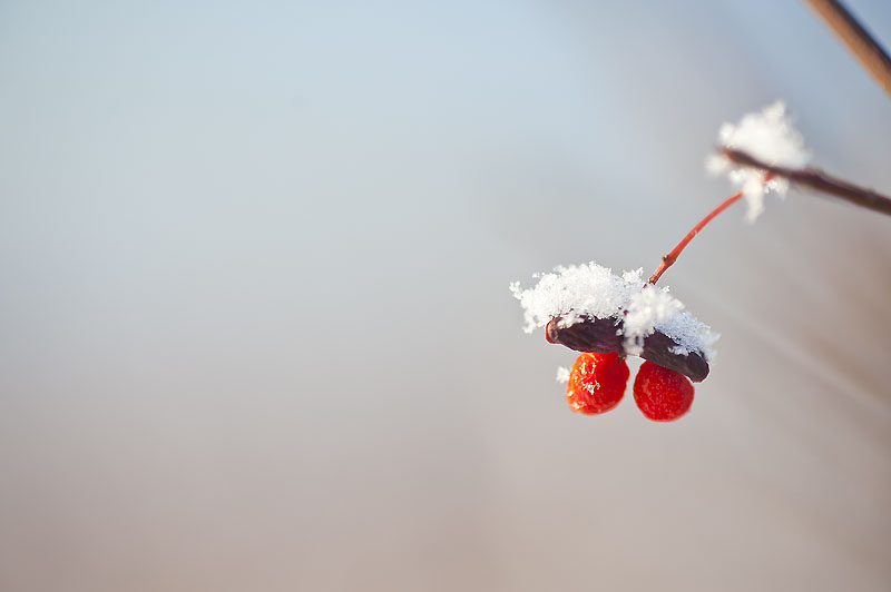 20121208_0082a-1.jpg