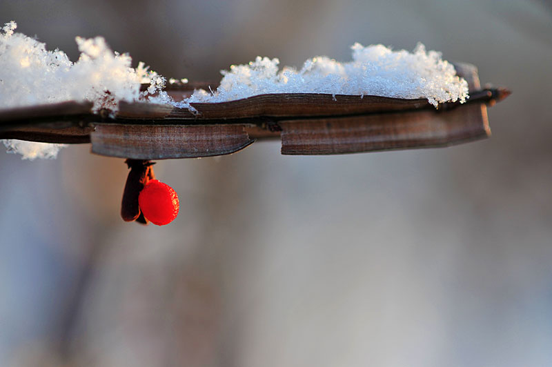 20121208_0019-1.jpg