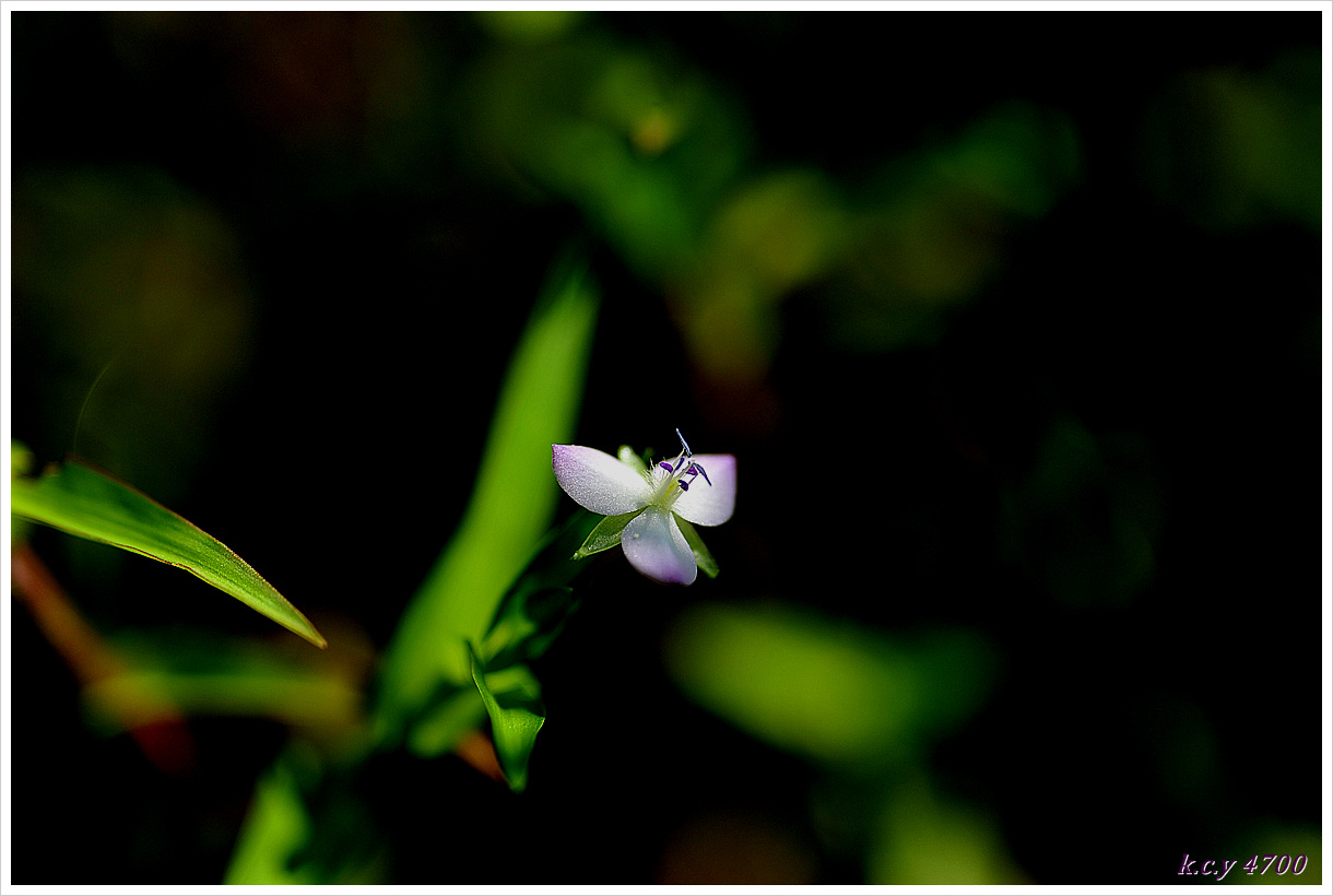 DSC_2031.jpg