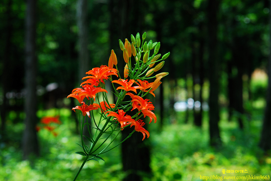 DSC_1675.jpg
