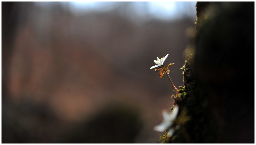 DSC_5067.jpg