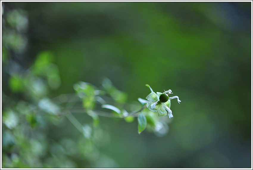 DSC_0851.jpg
