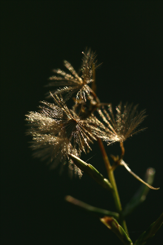 91021 123.jpg