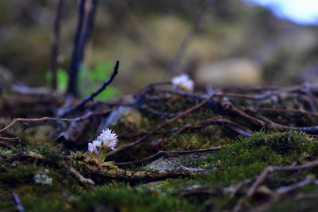 DSC_8316.JPG