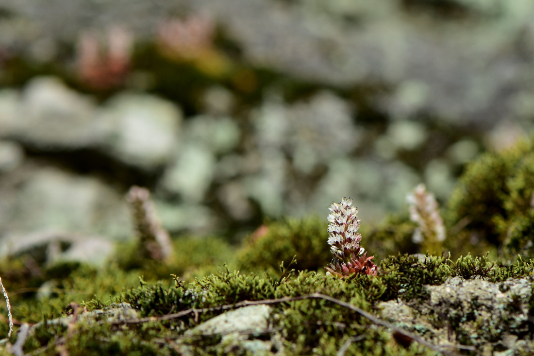 DSC_8280.JPG