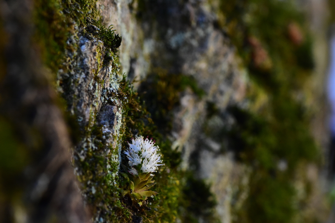 DSC_8327.JPG