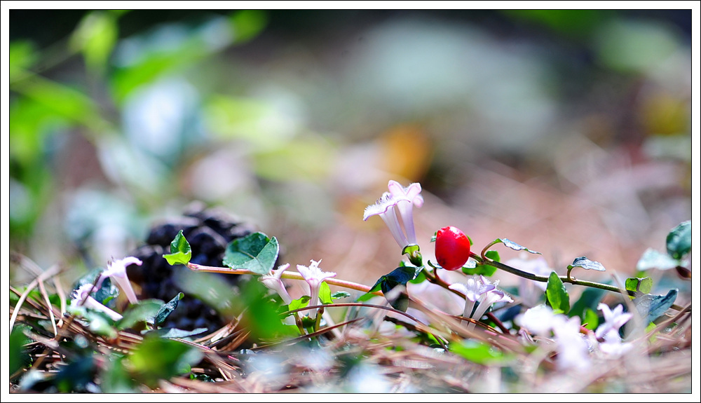DSC_3899.jpg