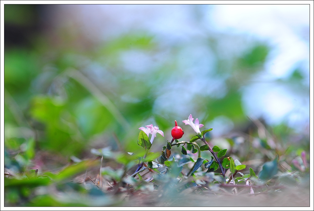 DSC_3900.jpg