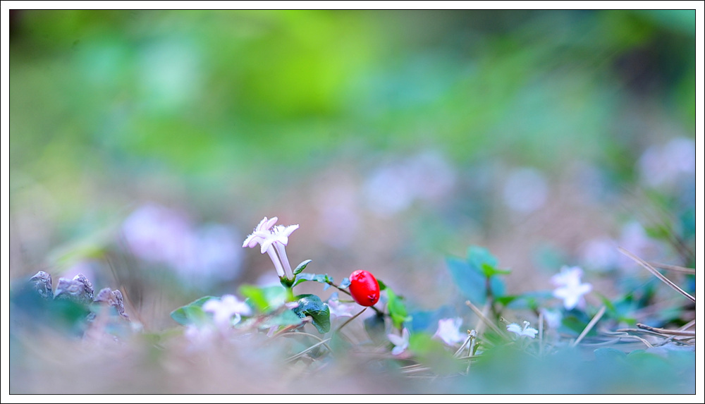 DSC_3907.jpg