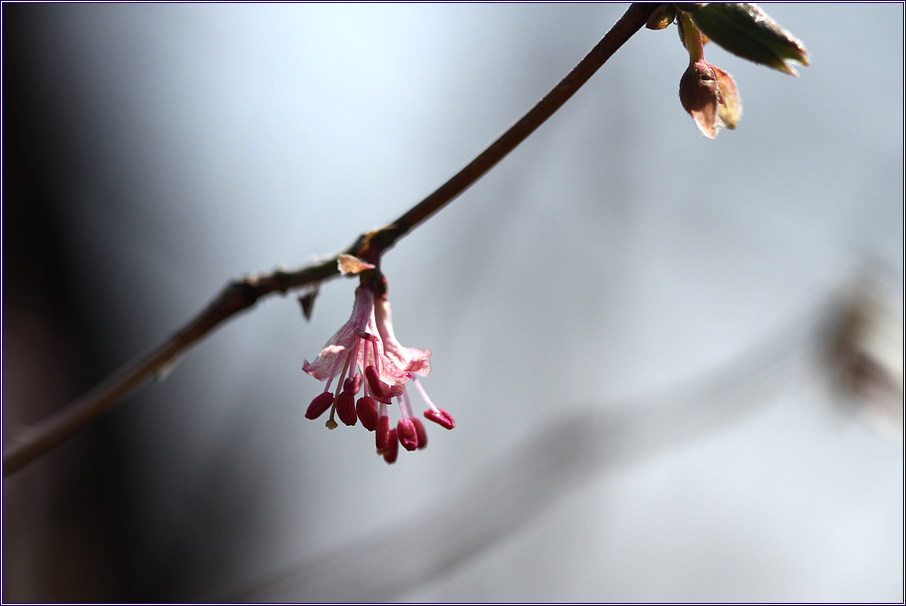 2011-04-05 054.jpg