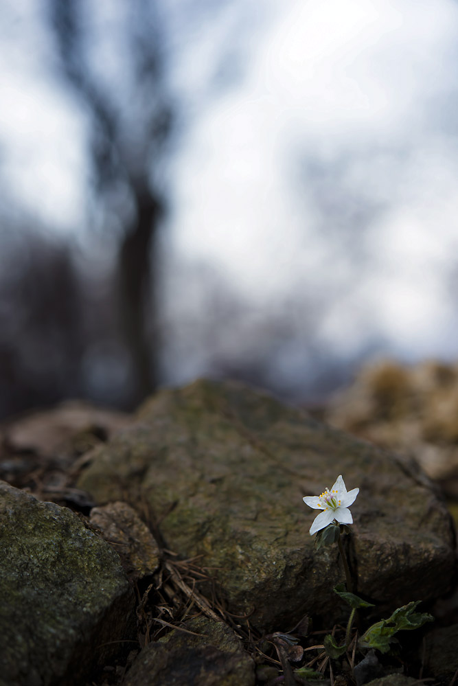 20140308_0033a-1.jpg