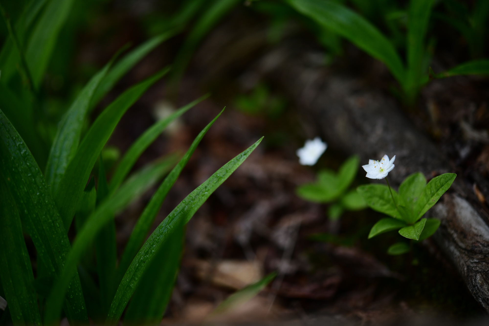 크기변환_DSC_7579.JPG