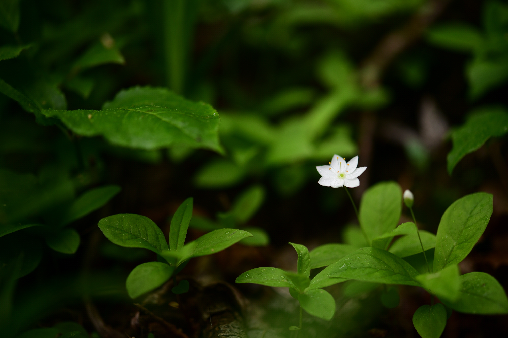 크기변환_DSC_7588.JPG