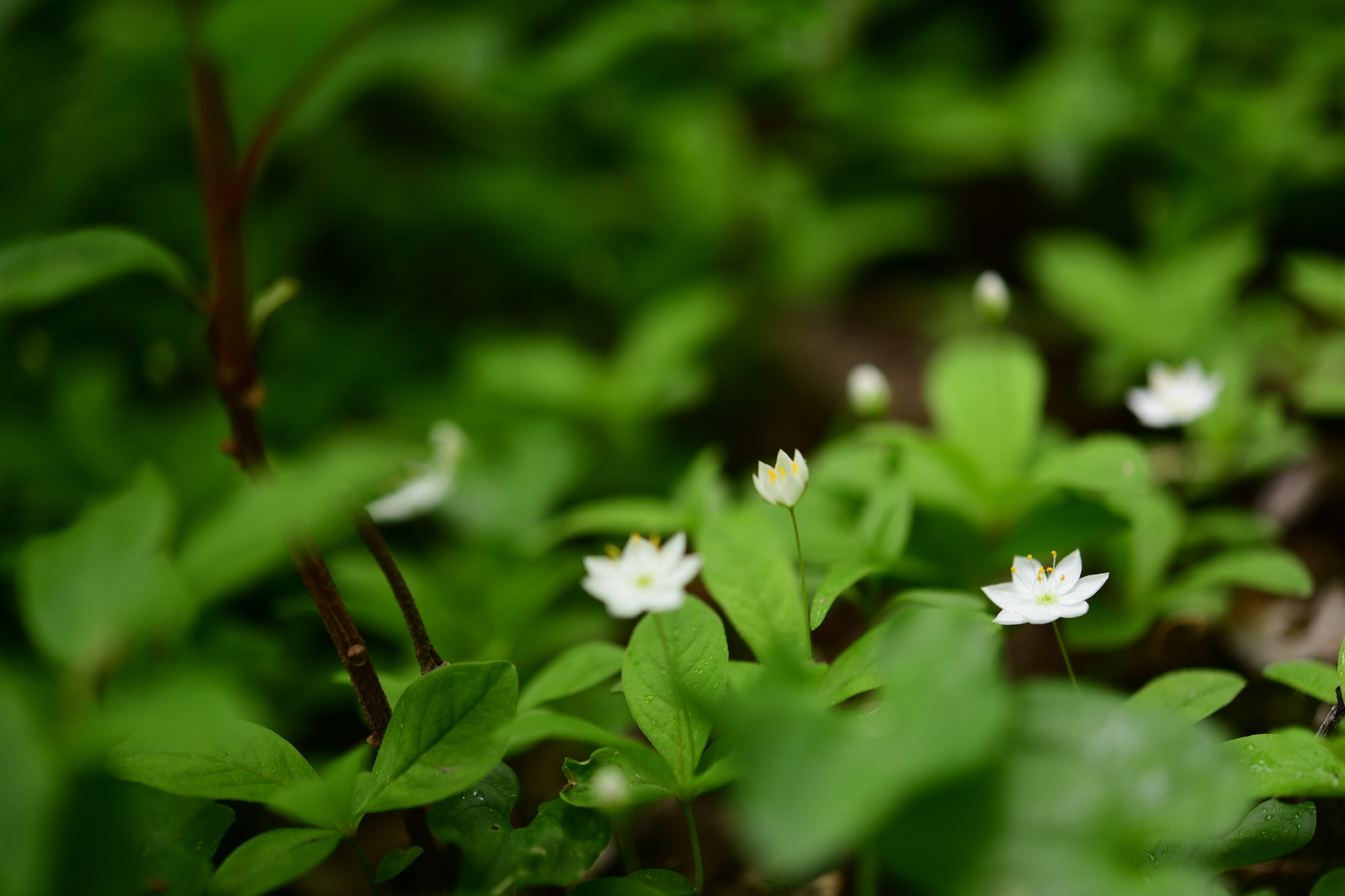 크기변환_DSC_7592.JPG