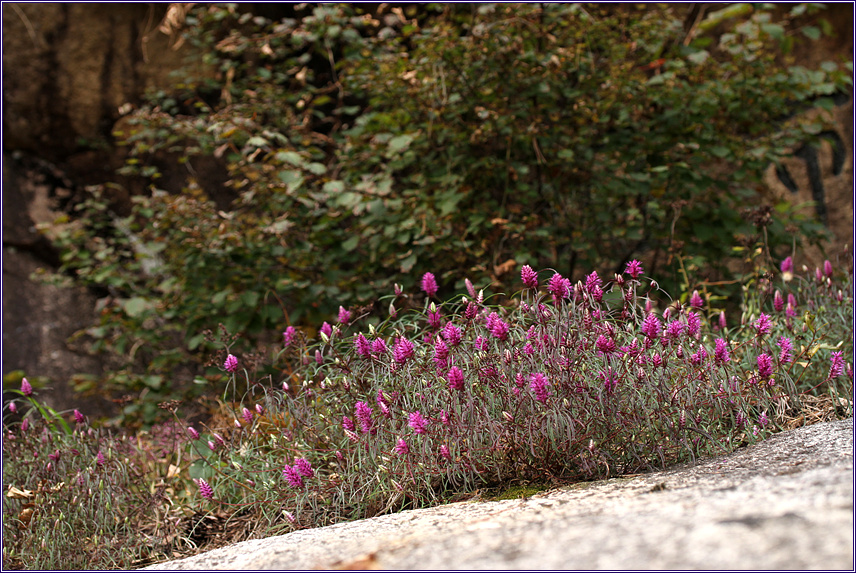 2010-10-14 201.jpg