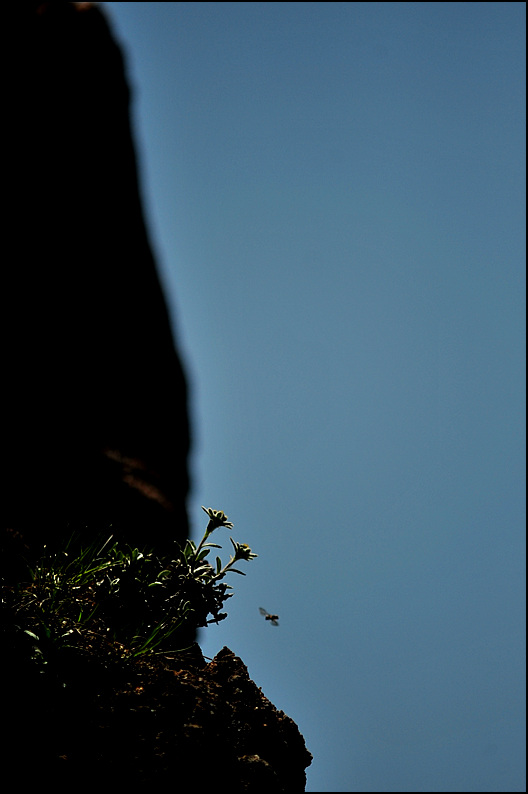 산솜31.jpg