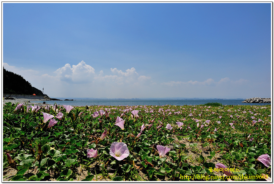 DSC_1607.jpg
