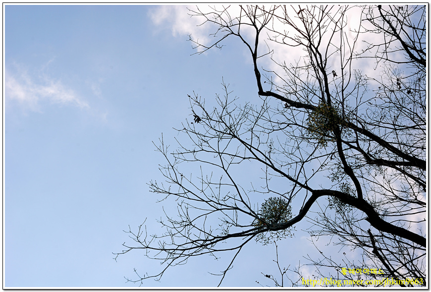 DSC_2818.jpg