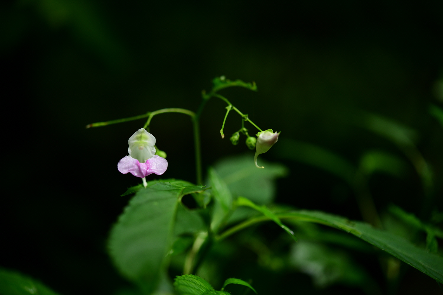 크기변환_DSC_2019.JPG