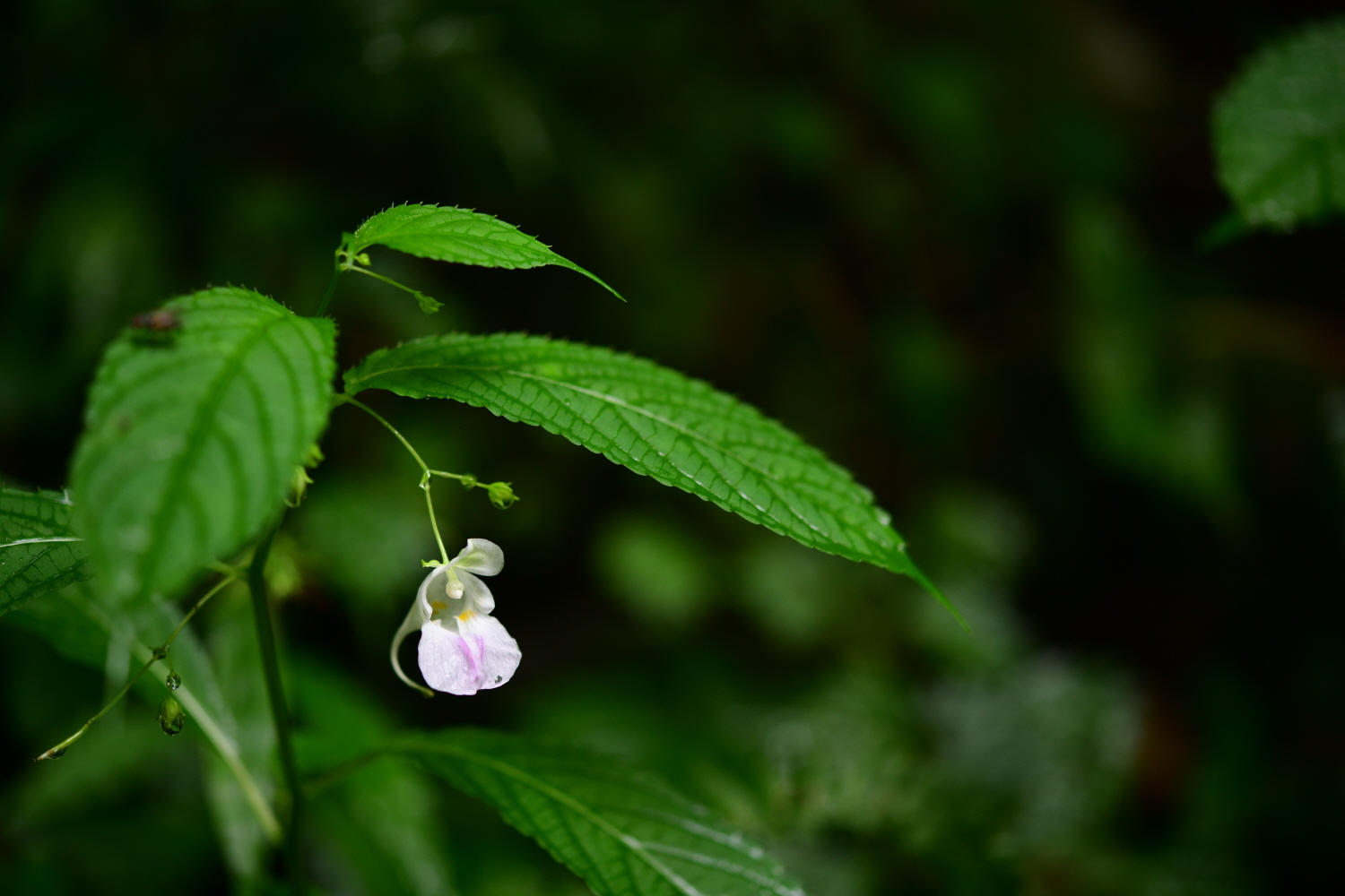 크기변환_DSC_2012.JPG
