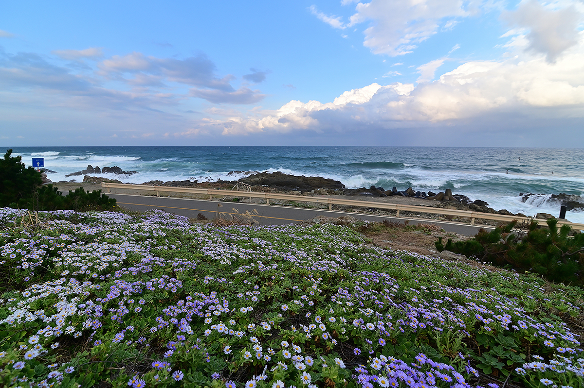 DSC_2634.jpg