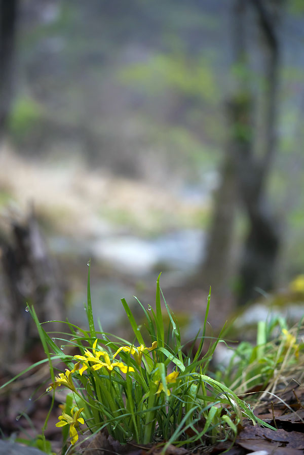 20130504_0188a-1.jpg