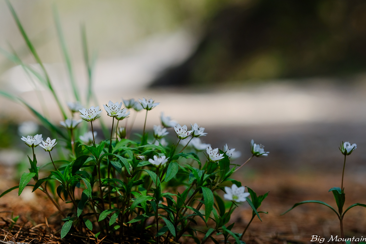 AE72952A-63E0-46E6-8631-C2A59430F6F5.jpeg