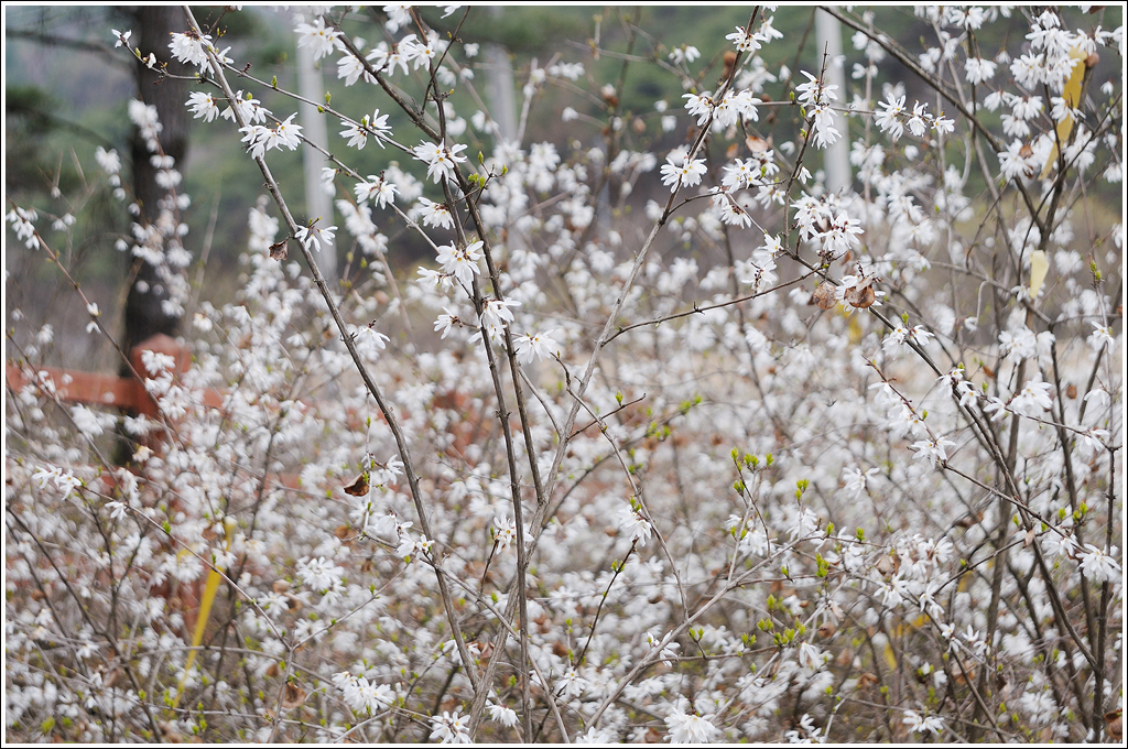 DSC_9904.jpg