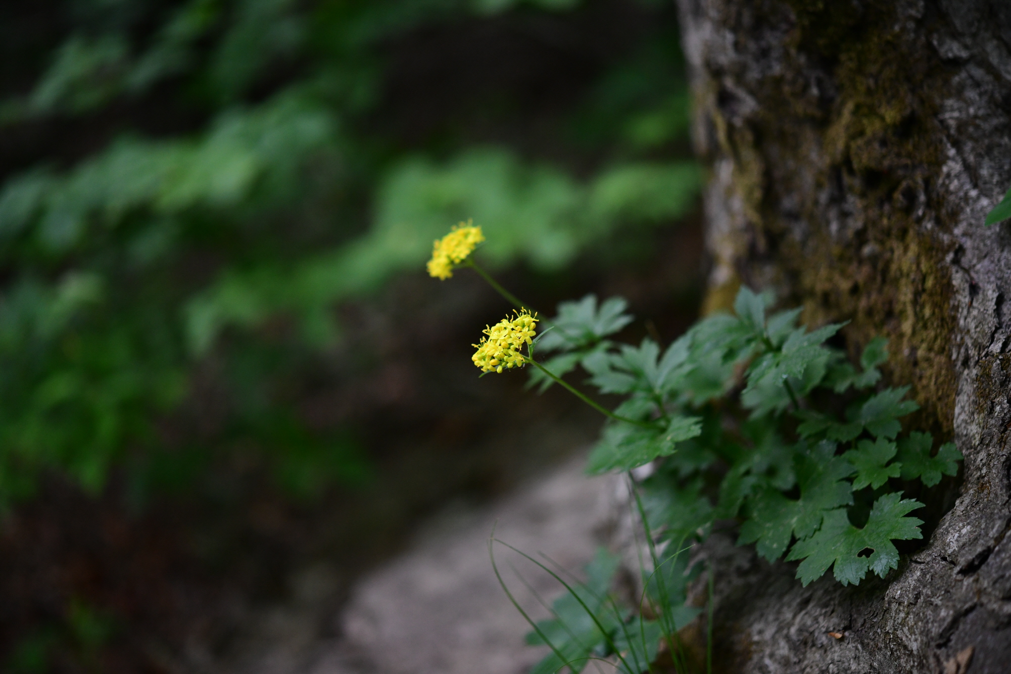 크기변환_DSC_8106.JPG