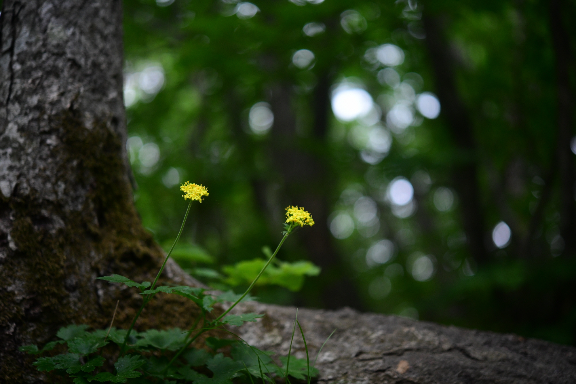 크기변환_DSC_8096.JPG
