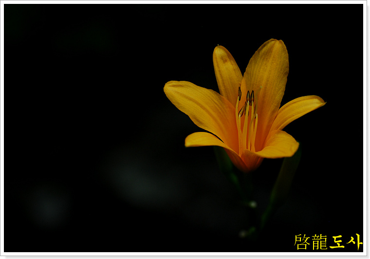 DSC_0237.jpg