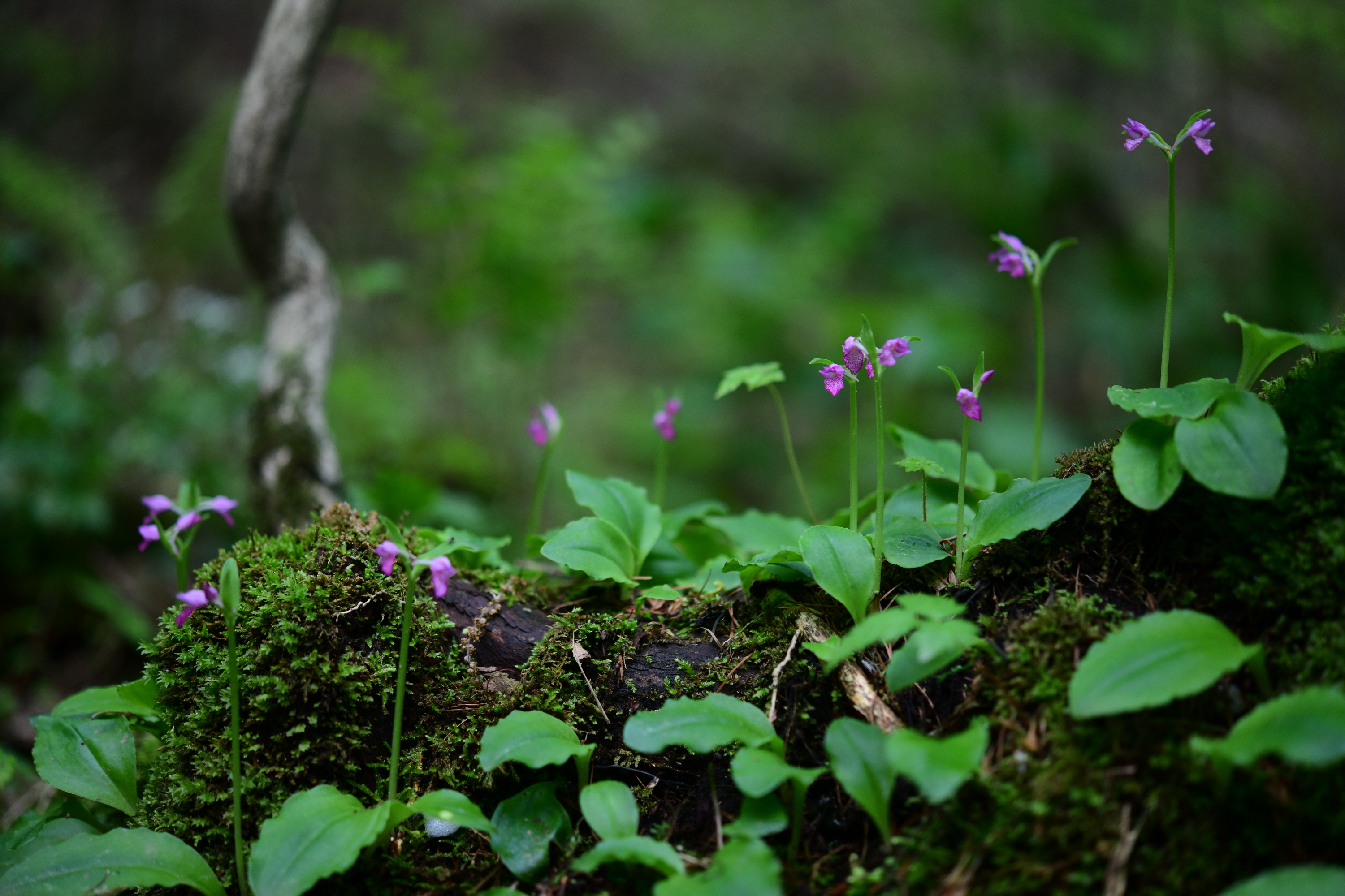 크기변환_DSC_0789.JPG