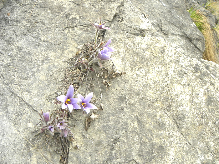 DSCN0048.jpg