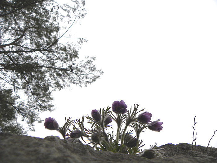 DSCN0178.jpg