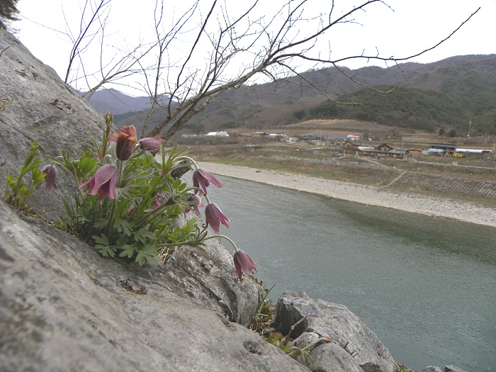 DSCN0175.jpg