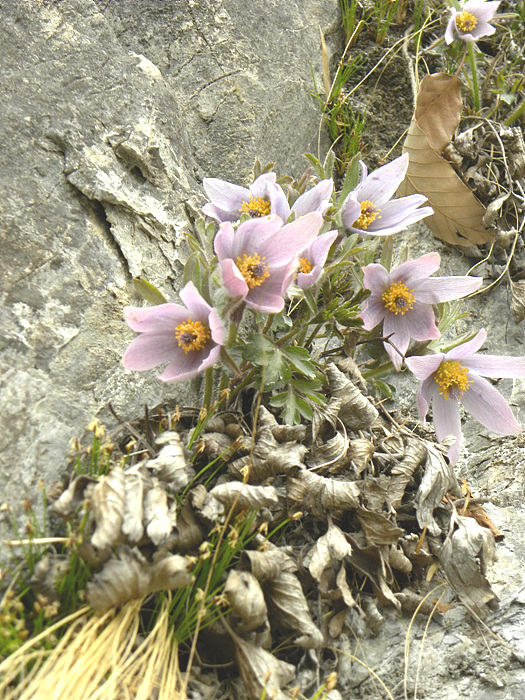 DSCN0075.jpg
