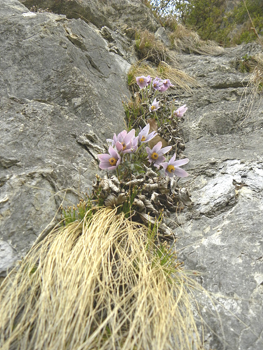 DSCN0076.jpg