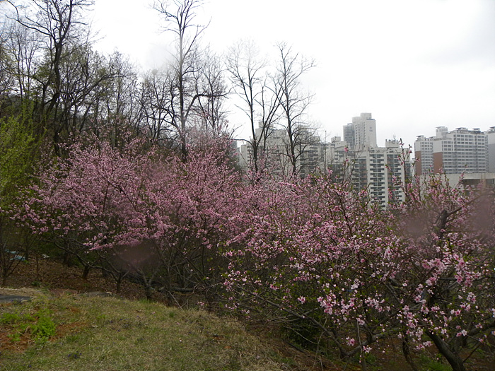 DSCN1426.jpg