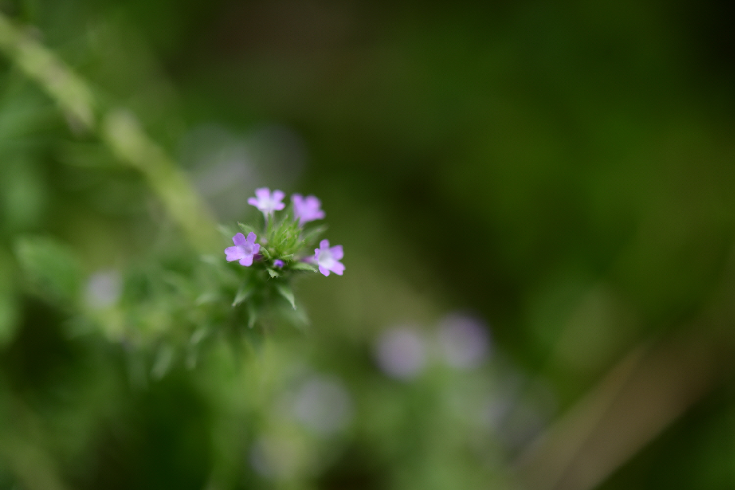 크기변환_DSC_2131.JPG